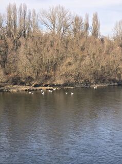 Fotografia z bikeandcamp na trase