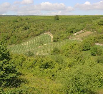 Herxheim am Berg - Berntal Bild 1