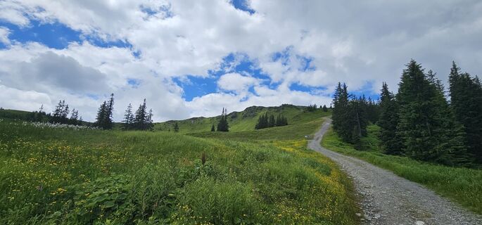 Fotografie z Michael Ganswind na trase
