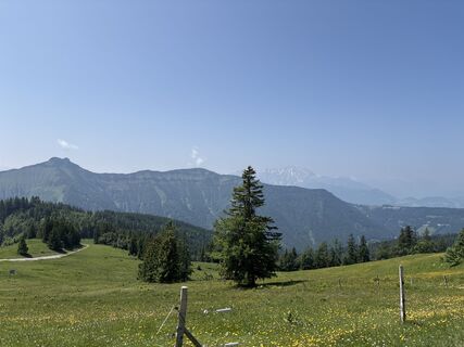Fotografija s spletne strani Heinz Sperl na poti