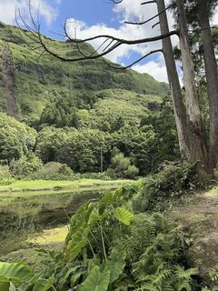 Foto von O K entlang der Tour
