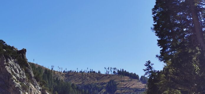 Foto von alig entlang der Tour