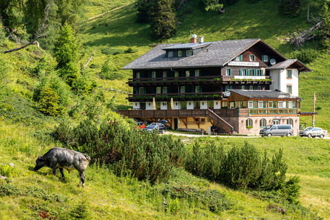 Hotel Alpen Arnika