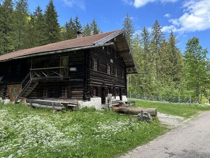 Foto de justasimpleguy a lo largo del recorrido