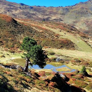 Foto de Brigitte Öttl a lo largo del recorrido
