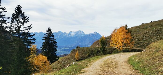 Fotografija s spletne strani Klaus Lehner na poti