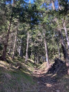 Fotografija s spletne strani Moonytiger na poti