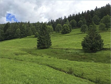 Aussicht ins Enztal