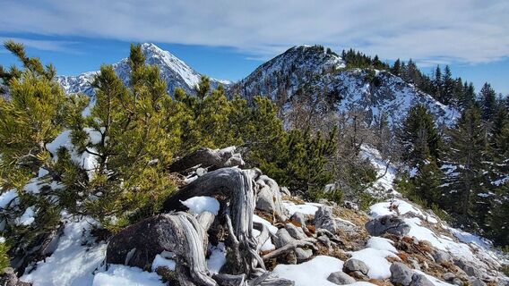 Fotografija s spletne strani Igor napast na poti