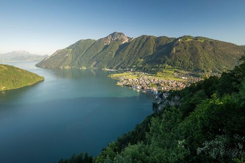 Blick auf Brunnen am Urnersee