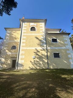 Zdjęcie z CT wzdłuż trasy