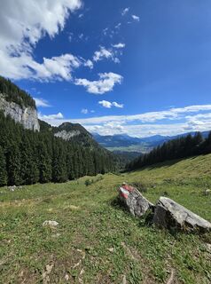 Foto de Domenic Beyrowski a lo largo del recorrido