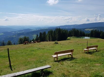 Ausblick von der Glatzl Trahütten Alm in St. Lorenzen am Wechsel in der Oststeiermark