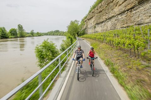 Neckartal-Radweg Lauffen am Neckar