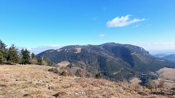 Фото с сайта Regina Fleischmann во время экскурсии