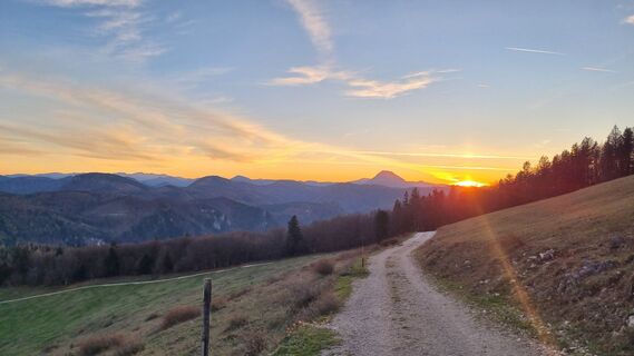 Photo de Hermanngonaus le long du parcours