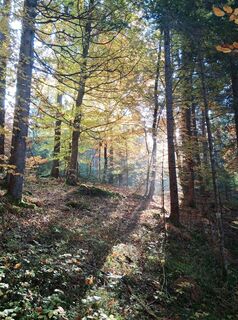 Photo de Bettina Unterweger le long du parcours