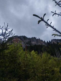 Foto von Mario Krenn 2 entlang der Tour