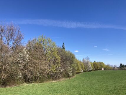 Foto de R S a lo largo del recorrido