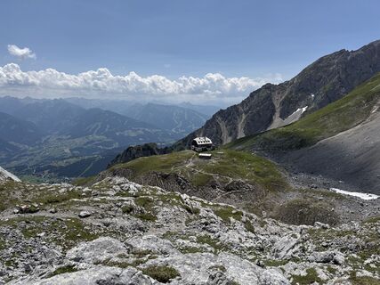 Foto da Grizzli lungo il tour
