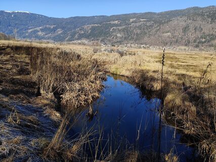Fotografie de la Albin1958 de-a lungul turului