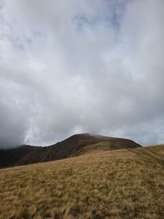 Zdjęcie z Aner wzdłuż trasy