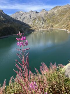 Fotó a Jeannette Etterli honlapról a túra során