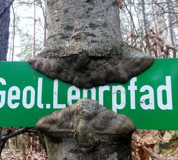 Geologische Lehrpfad