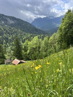 Zdjęcie z Heikoala wzdłuż trasy