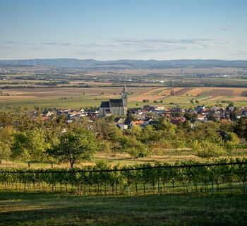 Blick auf Eisenstadt