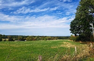 Panoramablick unterweg