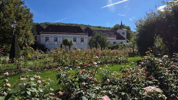 Photo de Adelheid Lautner le long du parcours