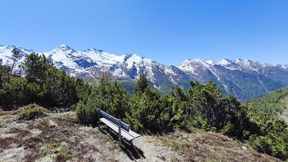 Photo de walrei le long du parcours
