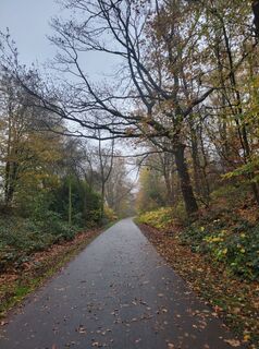 Foto de Any a lo largo del recorrido