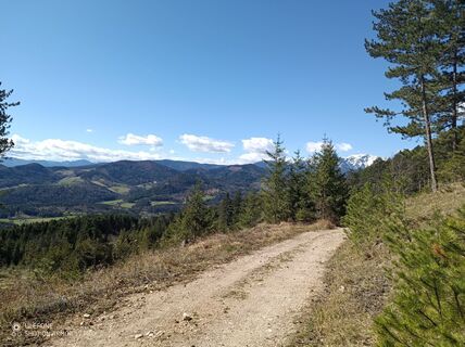 Foto von Bergpirat entlang der Tour
