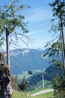 Kraftalm_Steig_Salvistabahn@ Region-Hohe Salve Weiskopf Larissa.jpg