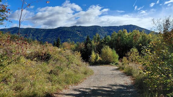 Photo de Wolfgang Arlic 1 le long du parcours