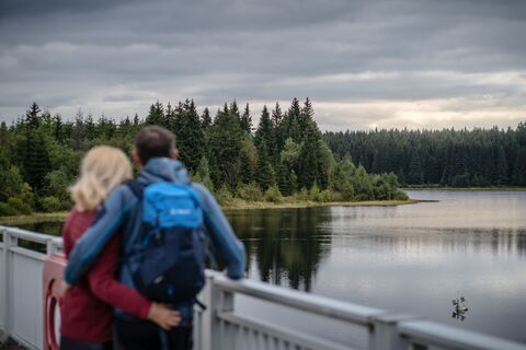 Blick über die Talsperre Carlsfeld