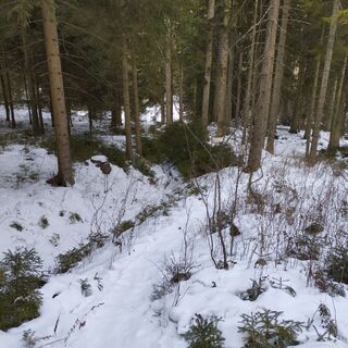 Photo de martinm2018 le long du parcours