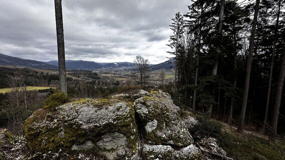 Fotografija s spletne strani Balázs Zeley na poti