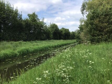 Naherholungsgebiet Große Aue