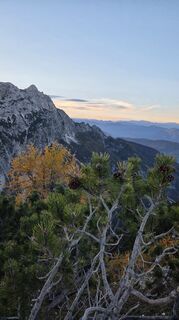 Photo de Klementina Gartner le long du parcours
