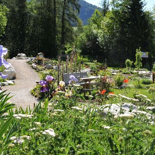 Hildegard Garten in Reith i. A. 1