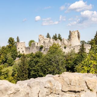 Burgruinen oberhalb von zell
