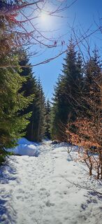Foto von ReginaSt entlang der Tour
