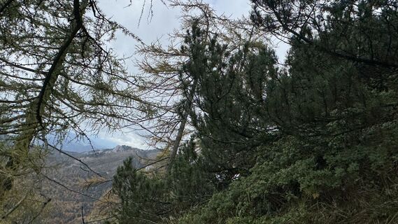 Photo de peterauslinz le long du parcours