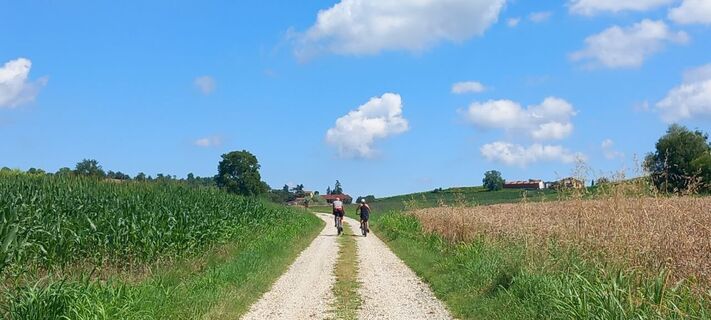 Die Landschaft um Chieri (TO)
