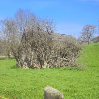 Fotografia z Sonja Enzenhofer na trase