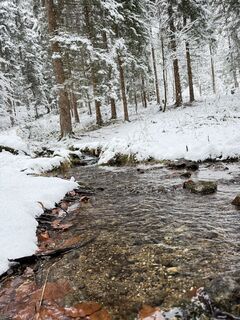 Photo de Dani Geiger / Natur_erleben_dg le long du parcours