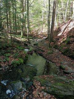 Fotografie z Dagmar Hofer na trase